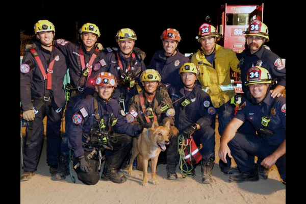 Watch: Firefighters Rescue Visually Impaired Dog After Falling At A Construction Site