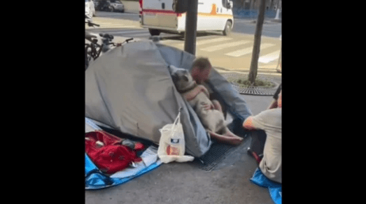 Watch: Dog Hugs Homeless Man Every Morning Melts Hearts On the Internet