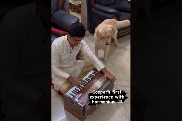 Dog’s Head Tilts While Listening to Owner Playing Harmonium
