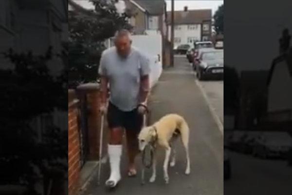 Watch: Harsh Goenka Shares A Heartfelt Video Of A Dog Imitating Its Injured Human