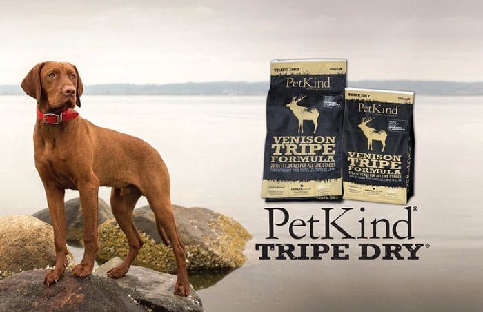 Best Dog Food Brands in The World