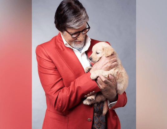 Amitabh Bachchan Pens an Emotional Note as He Mourns the Death of His Pet