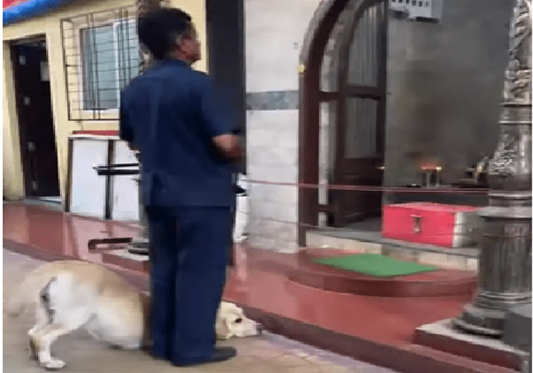 Dog Goes to Lord Ganesha Temple with Man, Bows Down to Pray