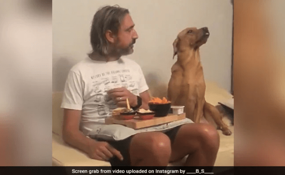 Dog Plays It Cool When Owner Catches It Staring at His Food-min