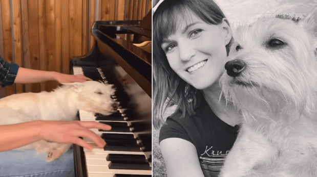 Watch Viral Video: Music Teacher Plays Piano As Pet Dog Relaxes To The Tune