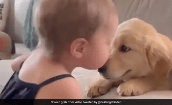 Watch A Cute Video of a Baby Giving Kisses to A Dog Will Melt Your