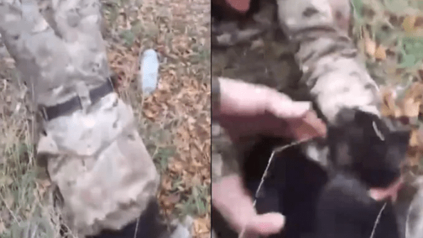 Watch How Ukrainian Soldiers Rescue a Dog from A Deep Ditch