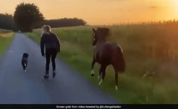Watch How a Woman Skates with Her Pet Dog and Horse in A Viral Video