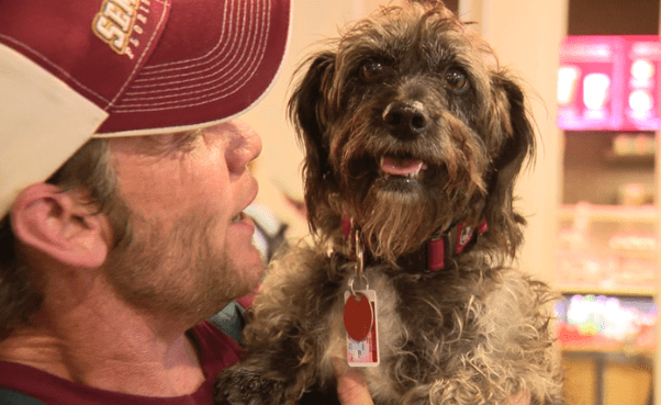 Florida Man Reunited with Dog Who Lost in California 7 Months Ago