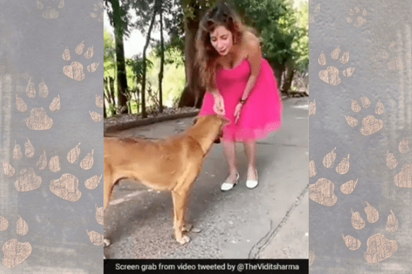 Instagram Influencer Faces Serious Backlash After Kicking the Dog for ‘fun’ Reel, Issues Apology