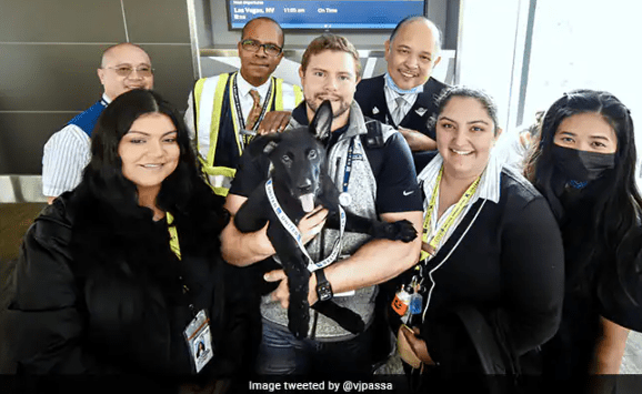 US Airline Pilot Adopts Dog Abandoned by The Traveler at Airport