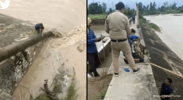 Watch Man Risks His Life To Rescue A Dog Stuck In The Dam; Netizens Shower Praise