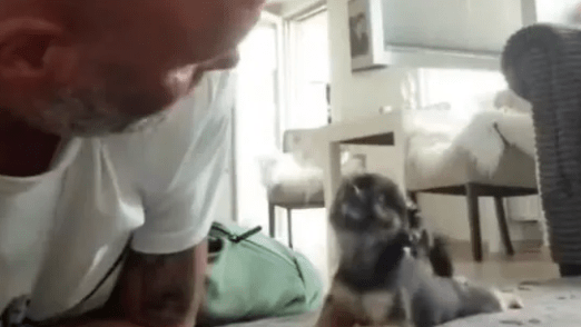 Watch The Viral Video Shows a Puppy Crawling to Kiss Its Human