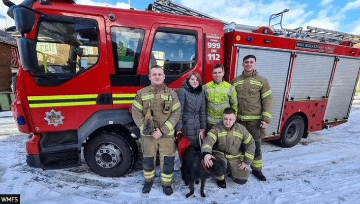 Dog Rescued from Icy Canal in Willenhall ‘While Chasing Ducks’