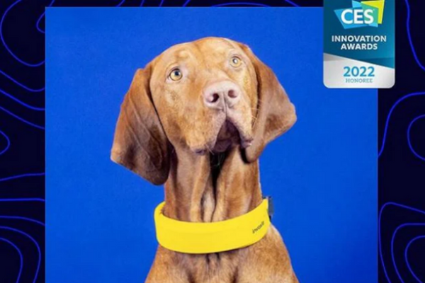 CES 2023: Invoxia Unveils Smart Dog Collar With Heart Rate Monitoring And AI Technology
