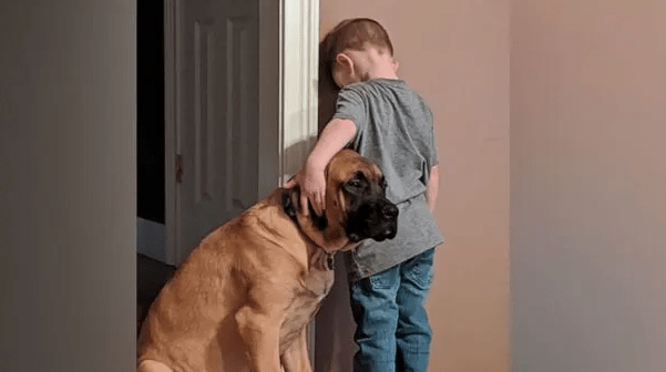 Viral Photo Shows Dog Joining Little Boy in Timeout