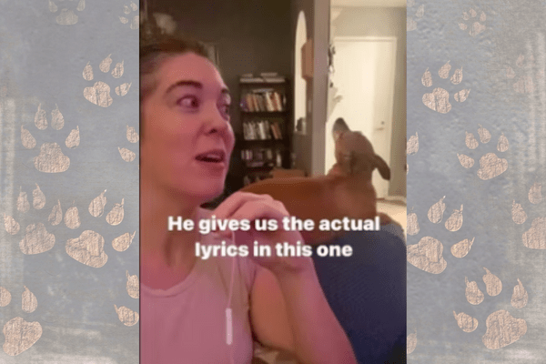 Watch How Dog Sings Duet with Her Pet Mom, Internet Loves It