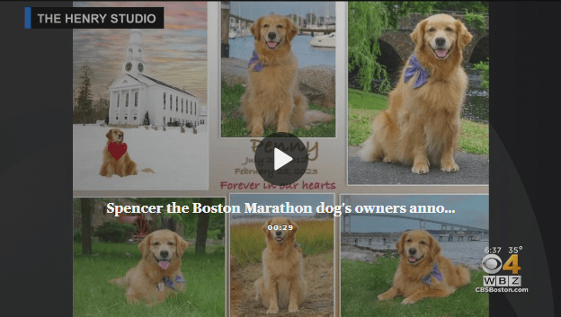 Family of Boston Marathon Dog Spencer Have Lost Second Golden Retriever