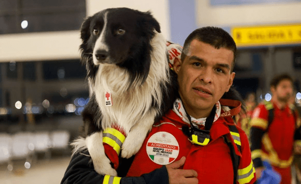 Mexico Sends Its Beloved Dog Search and Rescue Teams to Turkey