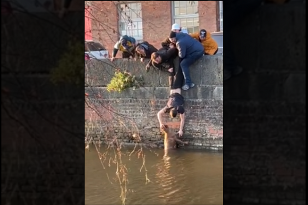 Manchester Students Rescue a Dog