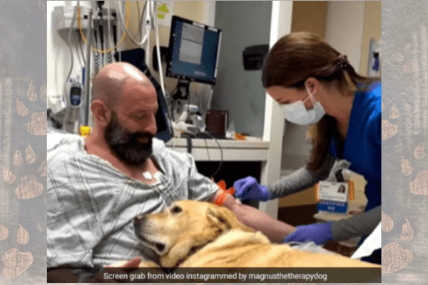 Watch Dog Does Not Leave Man's Side After Heart Ailment in A Heart-Warming Video