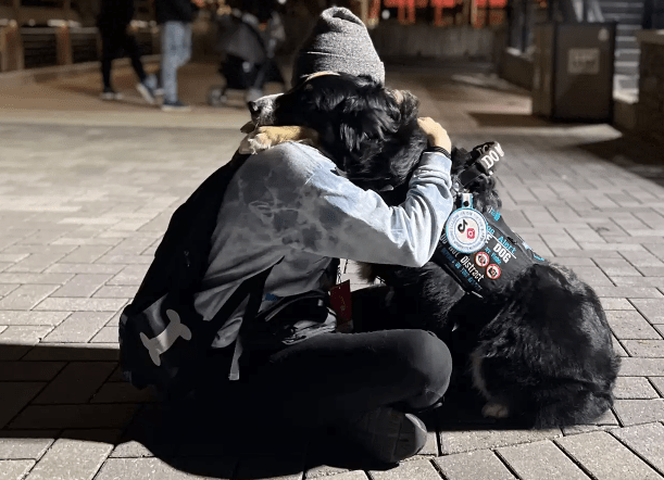 Watch Incredible Service Dog Takes the Best Care of His Mom