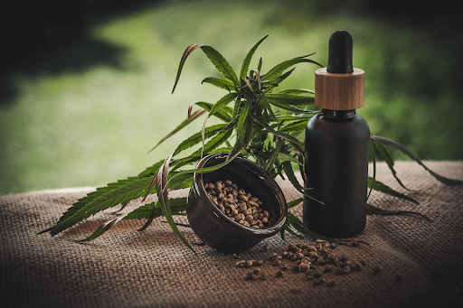 Which Doggy Health Conditions Can CBD Help