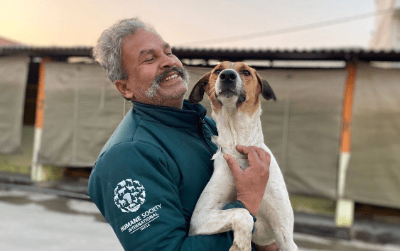 50,000 Sterilization Surgeries of Street Dogs Completed in Lucknow