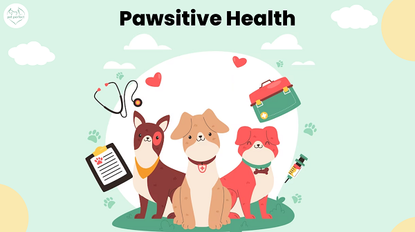 Pawsitive Health Navigating through Top 5 Health Issues