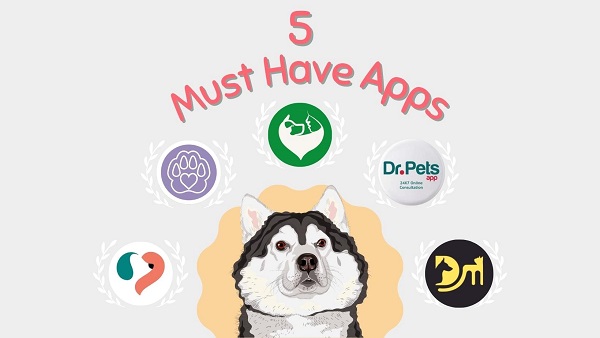 Pawsome Apps 5 Must-Have Apps for Every Pet Parents