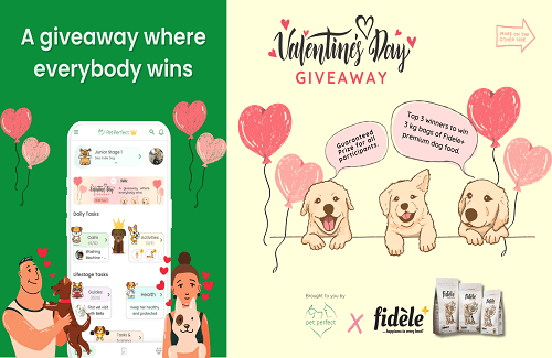 Pet Perfect & Fidele+ A Successful Pawstories Collaboration