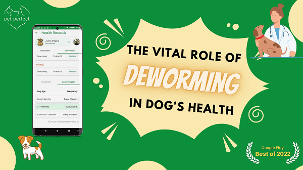 Pet Perfect’s Ultimate Guide to Deworming Your Dog 2