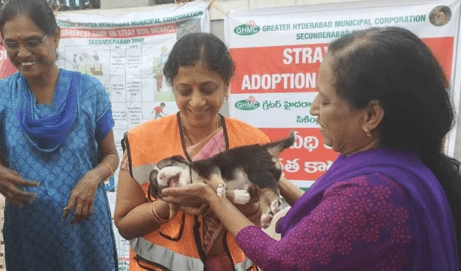 Street Dog Adoption Started by GHMC Is a Big Hit