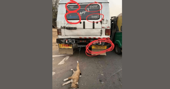 Tripura Man Arrested for Dragging Dog Behind a Vehicle 