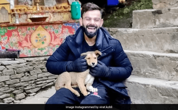 Virat Kohli Shares Throwback Pic with A Cute Dog That Takes Over the Internet
