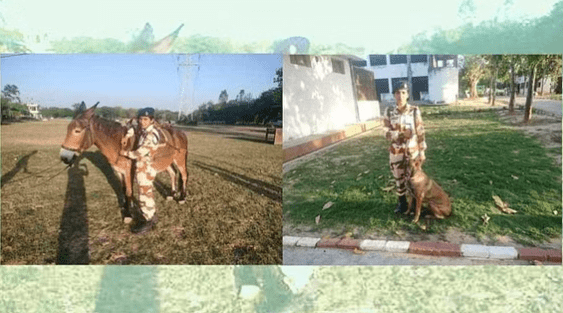 ITBP Women Lead Ponies and Dogs as Captains