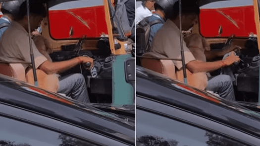 Dog Sits on Auto Driver's Lap in Bengaluru Traffic, Watch delightful video