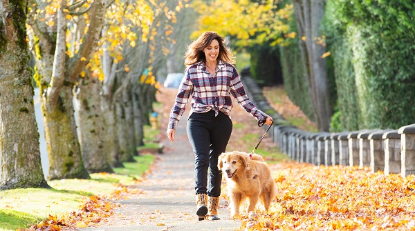 Fall Safety Tips for Your Beloved Pets Keeping Them Happy and Protected