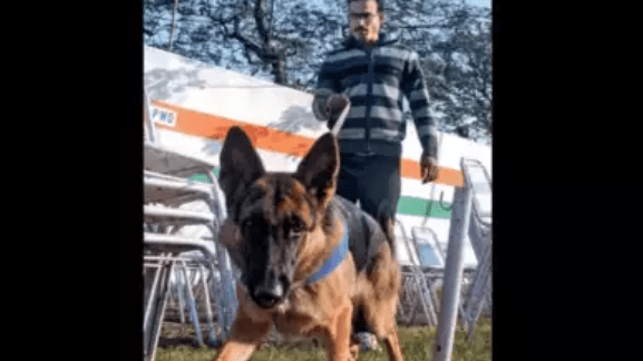Kolkata Police Retires 8 Crack Canine Squad After 8 Years of Stellar Service