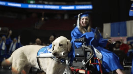 Service Dog Receives a Diploma at Graduation Ceremony With Owner in New Jersey