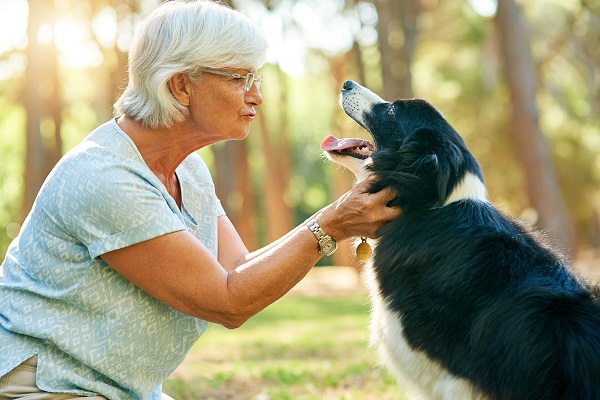 Creating a Safe & Cozy Home for Your Senior Dog