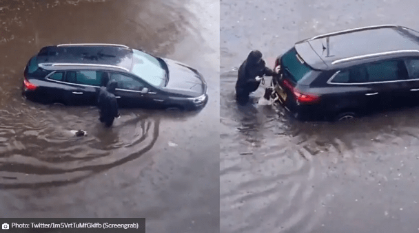 Dog Assists Man in Pushing Car Out of Waterlogged Road