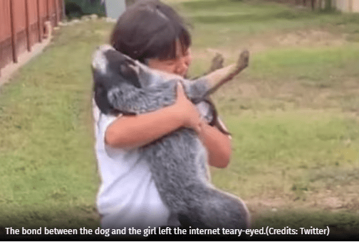 Emotional Reunion Little Girl Finds Lost Pet Dog