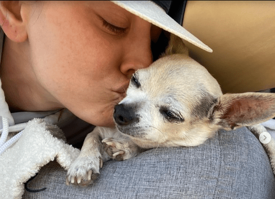 Kaley Cuoco Mourns Late Dog Dumpy, Affirms Commitment to Animal Rescue