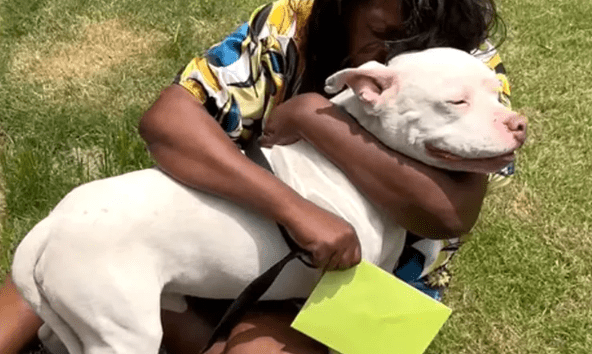 Lost Dog Reunites with Late Owner's Sister After 3 Years