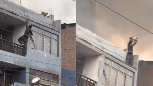 Man Scales a Burning Building despite His Fear of Heights to Save a Dog
