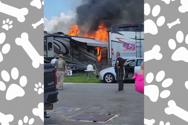 RV Fire at the Florida State Fairgrounds Killed Five AKC Show Dogs