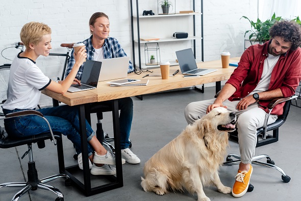 Why Should You Let Your Employees Bring Their Dogs To The Office