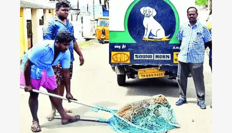 Corpn Launches Campaign to Tackle Stray Dog Issue