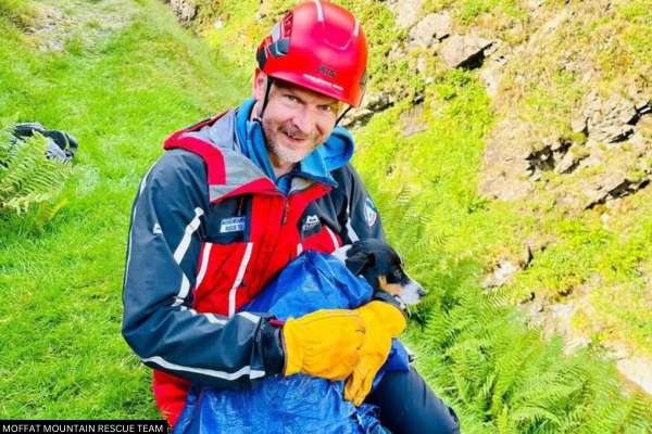 Dog Rescued After Plunging 60m Down Waterfall Near Moffat - Moffat Mountain Rescue team